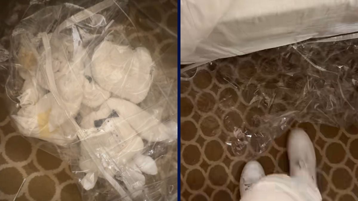 Towel Animals Under Bed
