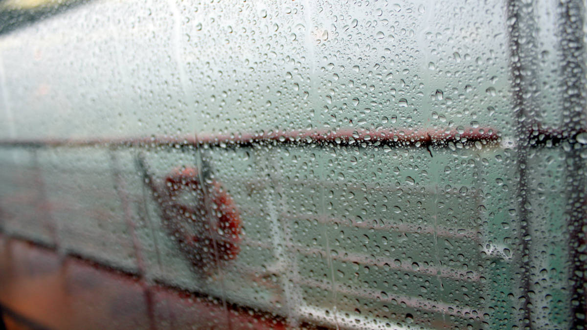 Rain on Carnival Cruise