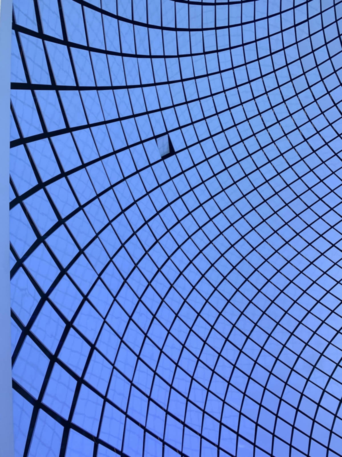 The Pearl Panel Damage on Icon of the Seas