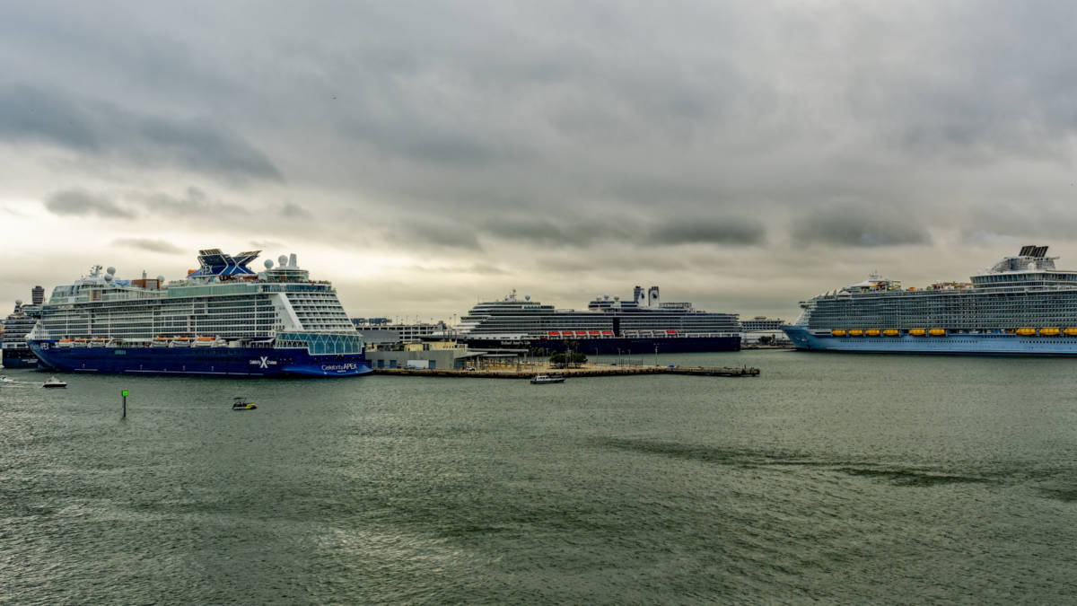 Cruise Ships in Port Everglades
