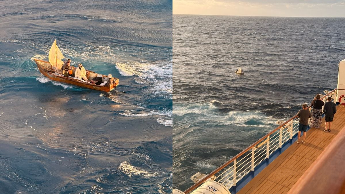 Regal Princess Rescue