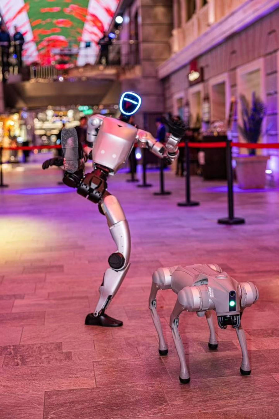 Unitree Robotics on MSC Bellissima