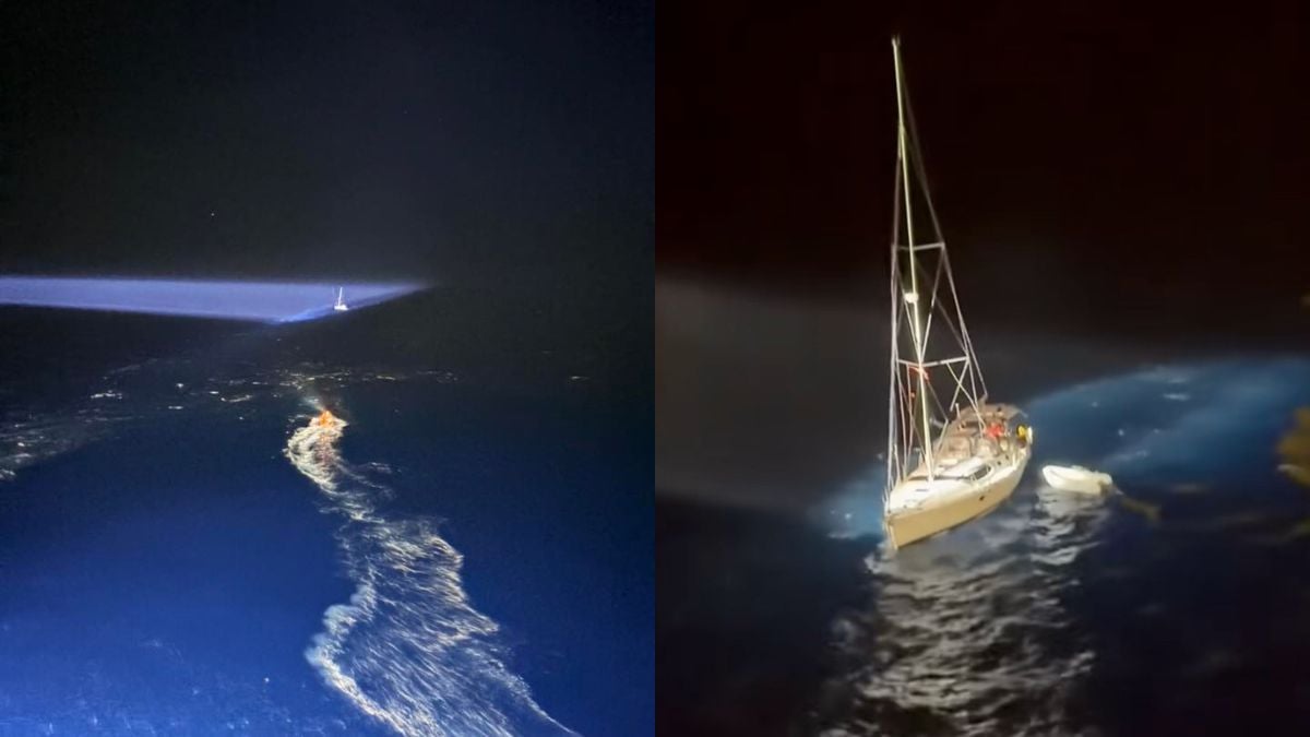 Cat and Man Rescued by Carnival Legend