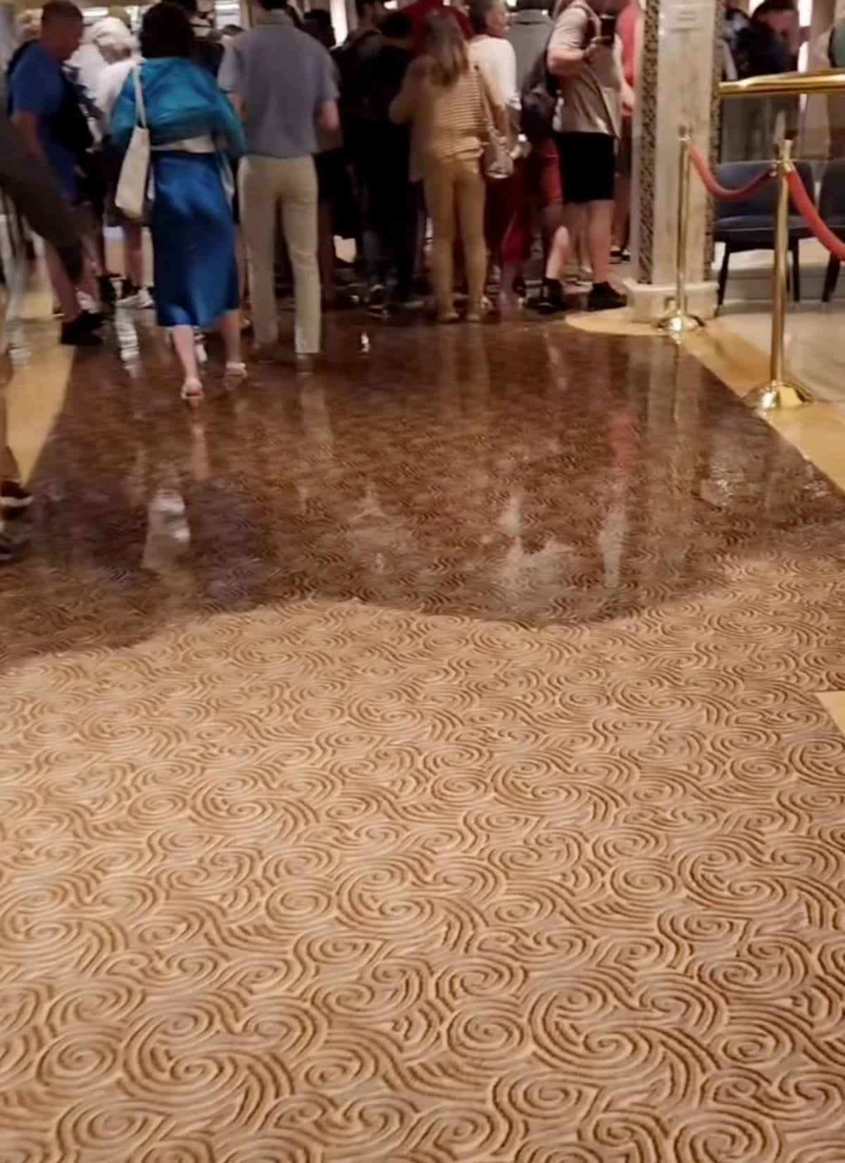 Flooding on Enchanted Princess Cruise Ship