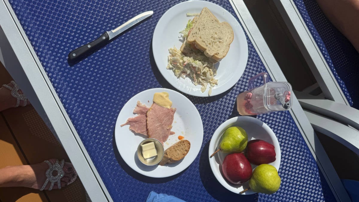 Food on Cruise Ship Deck Lounger