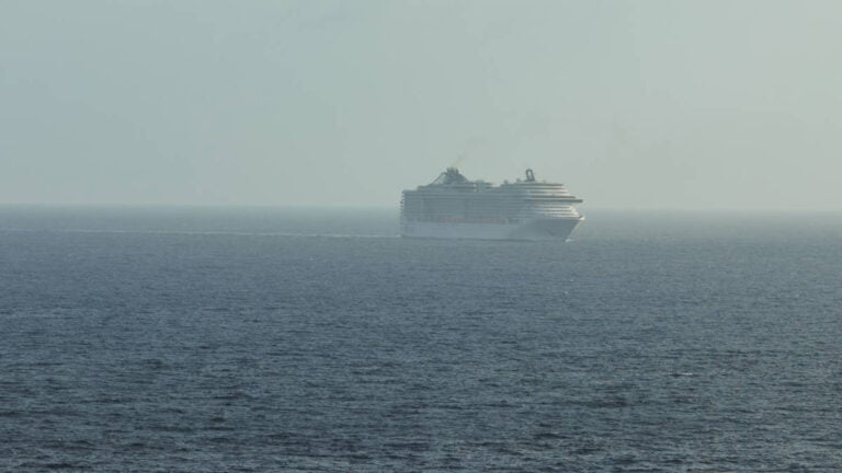 Cruise Ship Overboard Alert Ends in Relief for Guests and Crew