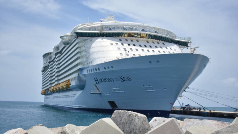 Cruise Guest Sues Royal Caribbean Over Falling Bathroom Panel