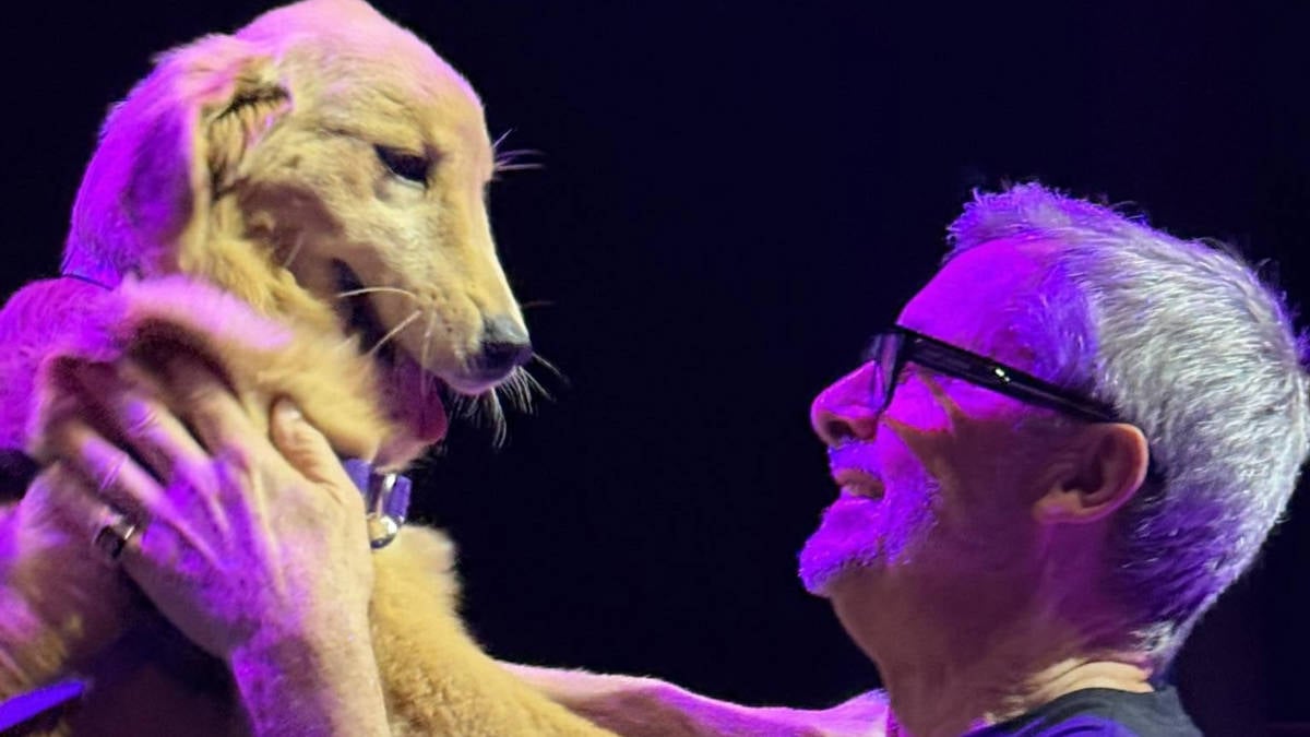 Royal Caribbean Dog and CEO