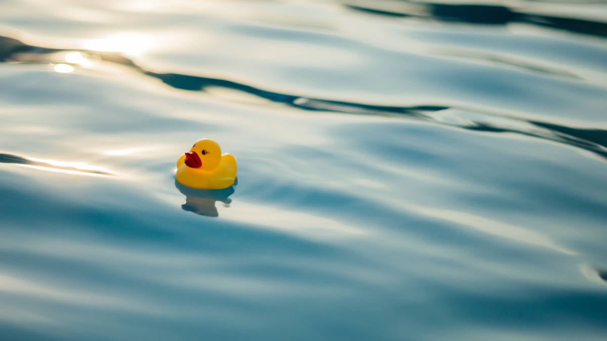 Rubber Duck at Sea