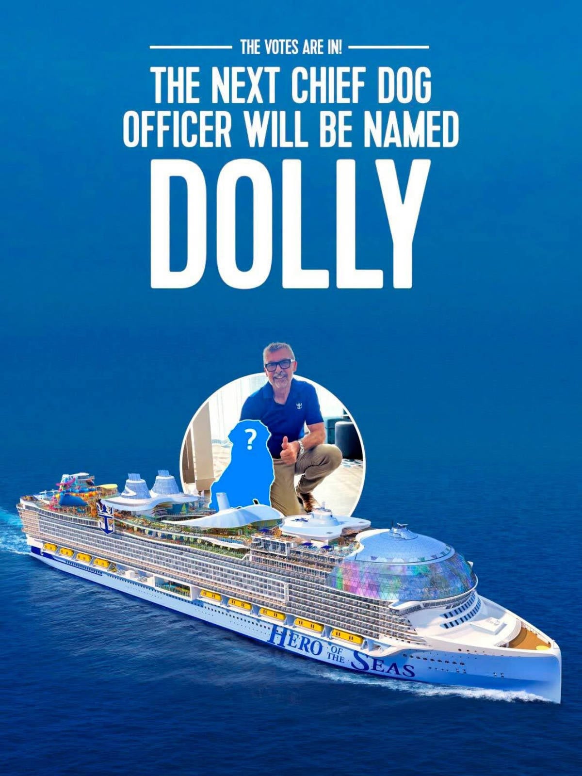 Dolly Chief Dog Officer
