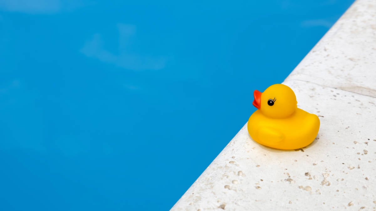 Small Rubber Duck Next to the Pool