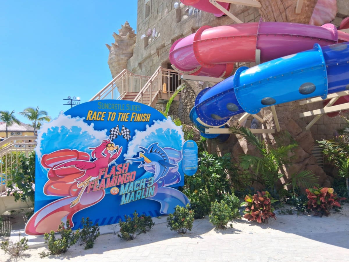 Celebration Key Flash Flamingo Slide