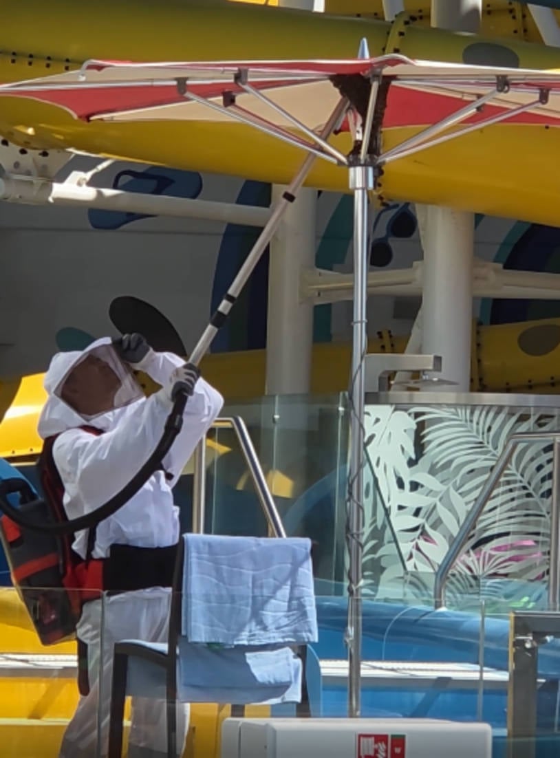 Crew Members Deals With Bees on Royal Caribbean